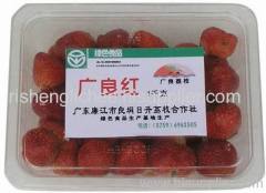 china lychee / litchi