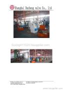 Shanghai Dazhong valve Co., Ltd