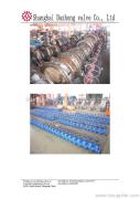 Shanghai Dazhong valve Co., Ltd