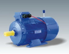 MSEJ THREE-PHASE SYNCHRONOUS BRAKING MOTOR - ALUMINUM HOUSING