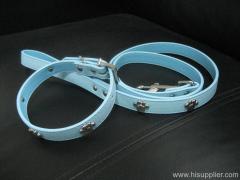 leather collar and leashes