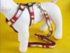 Pet harness and leash