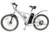 Mountain Electric Bike