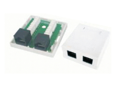 rj45 box Surface Mount Dual