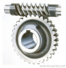 Worm and Worm gear