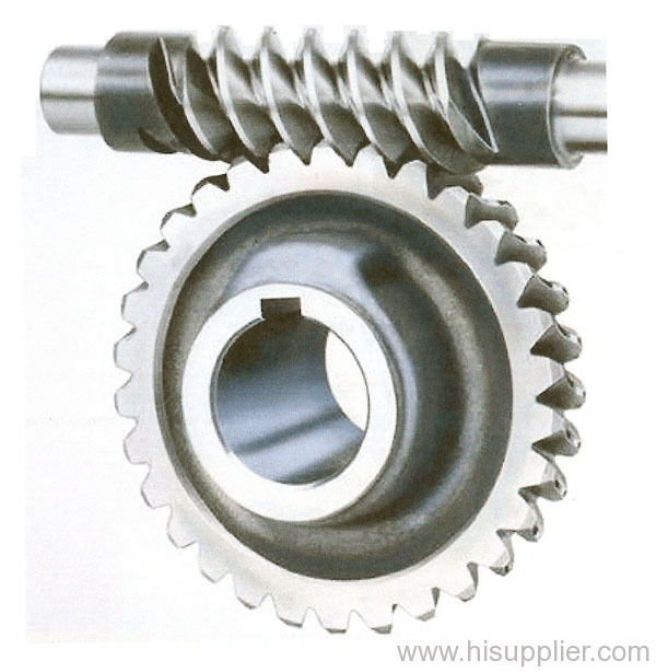 Worm gear