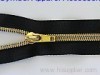 Gold Teeth  Nylon Zipper