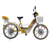 Electric City Bike