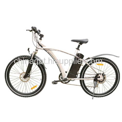 electric mountain bike