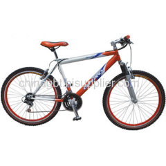 mountain bicycle