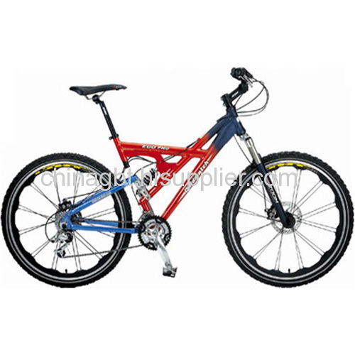 mountain push bike