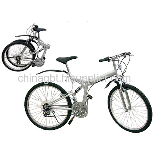 young folded bike