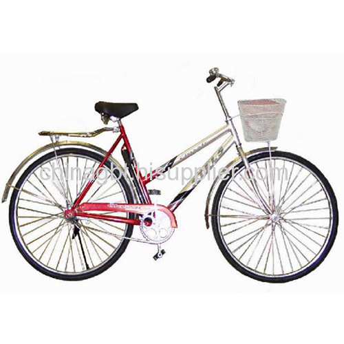 adult CTB bicycle