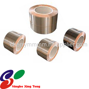 Phosphorous bronze strip