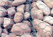 PVC coated gabion