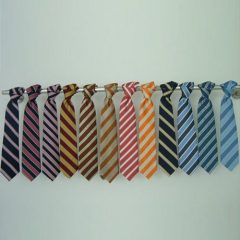 Silk Woven Ties