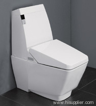 electronic toilet