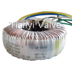 Expoxy Toroidal Transformer