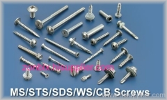 MS/STS/SDS/WS/CB Screws