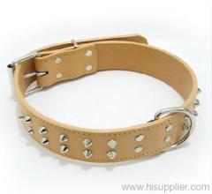 dog collar