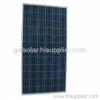 Poly-crystalline Solar Module