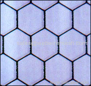 Hexagonal Wire Mesh