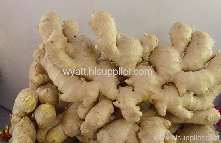Air-Dried Ginger