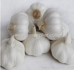 AD Garlic Granules