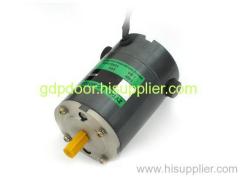 AC geared motors 110V