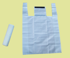 Reusable Shopping Bag