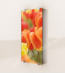 Photograph glass radiator