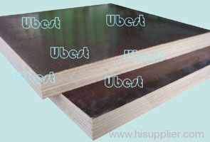 Black Film Faced Plywood