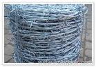 Barbed Iron Wire