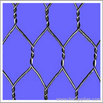 Hexagonal Wire Netting