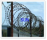 razor barbed wire Fences