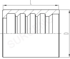 ferrule