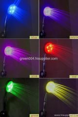 LED shower head