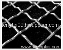 crimped wire mesh