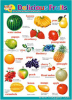 3d WALL CHART --FRUITS