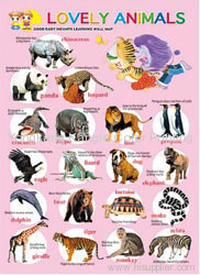 3d WALL CHART --Animal