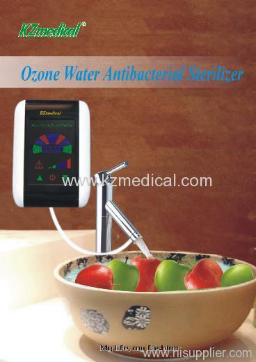 Fruit vegetable sterilizer