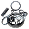Silicon carbide ring