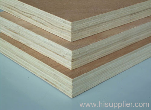 Beech Plywood