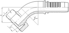 45° O-RING Metric Female 24° Cone Seal L.T.