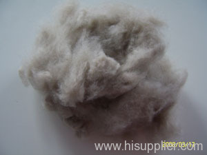 cashmere fibre