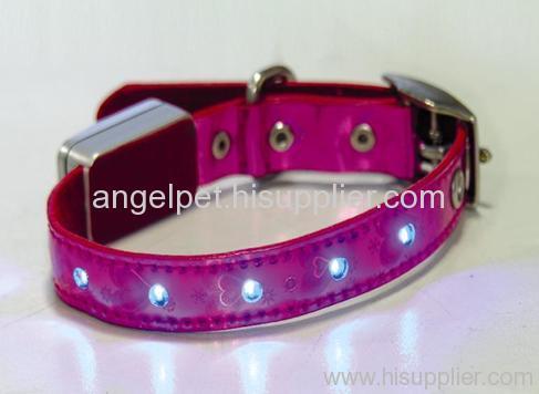 LED pet collar