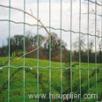 Anping Zhengyang Wire Mesh Fence Factory