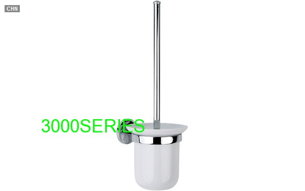 Polished Toilet Brush