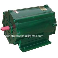 rare earth diesel generator