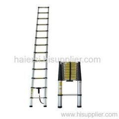 telescopic ladder